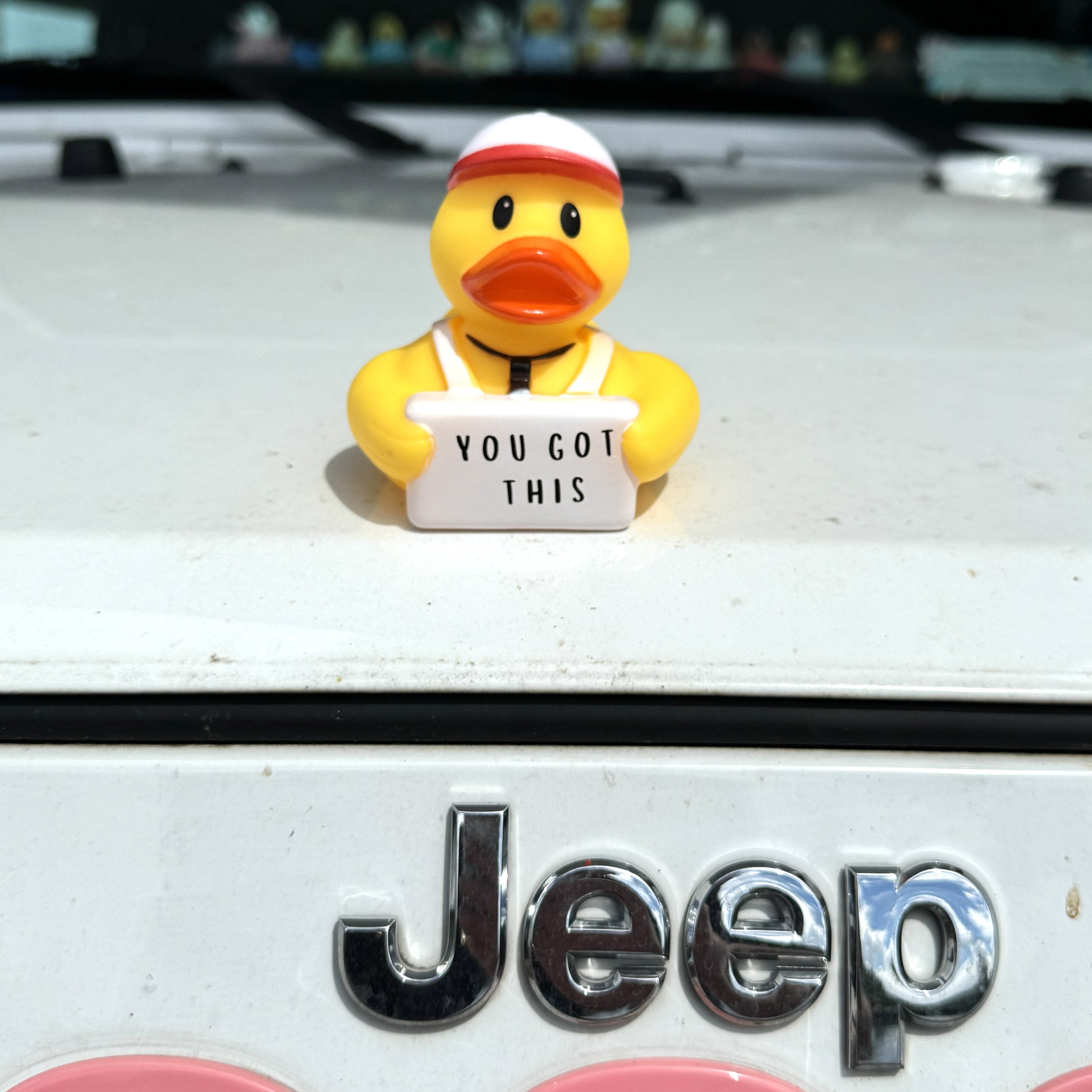 You Got This - Coach Quack (Collector&