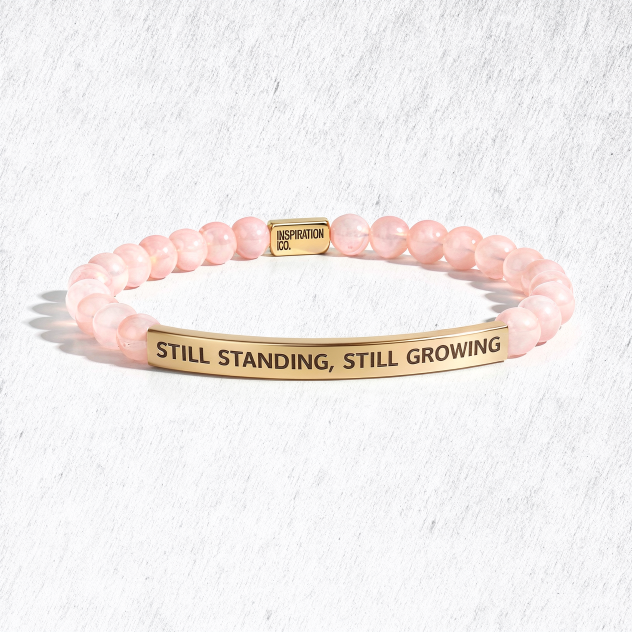 DROP 13 OF 30: STILL STANDING. STILL GROWING.