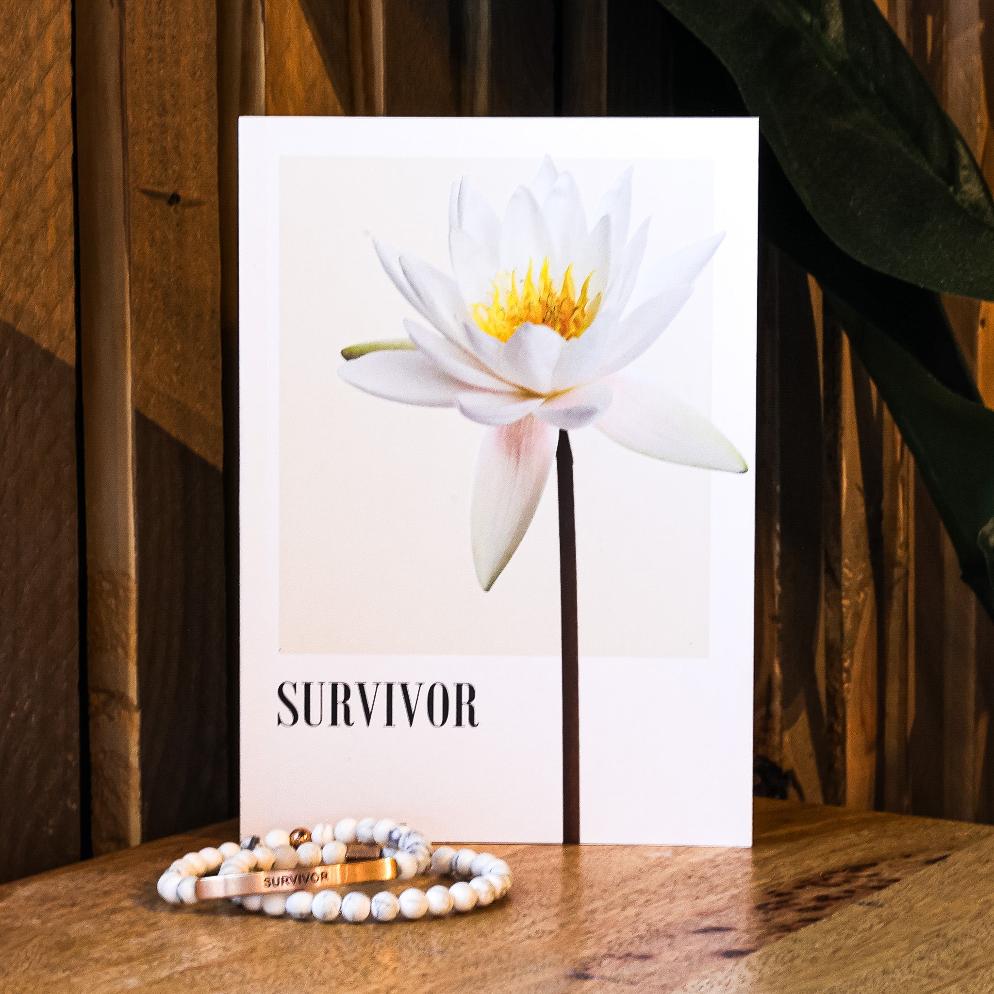 Daily Inspiration Journals - Inspiration Co.