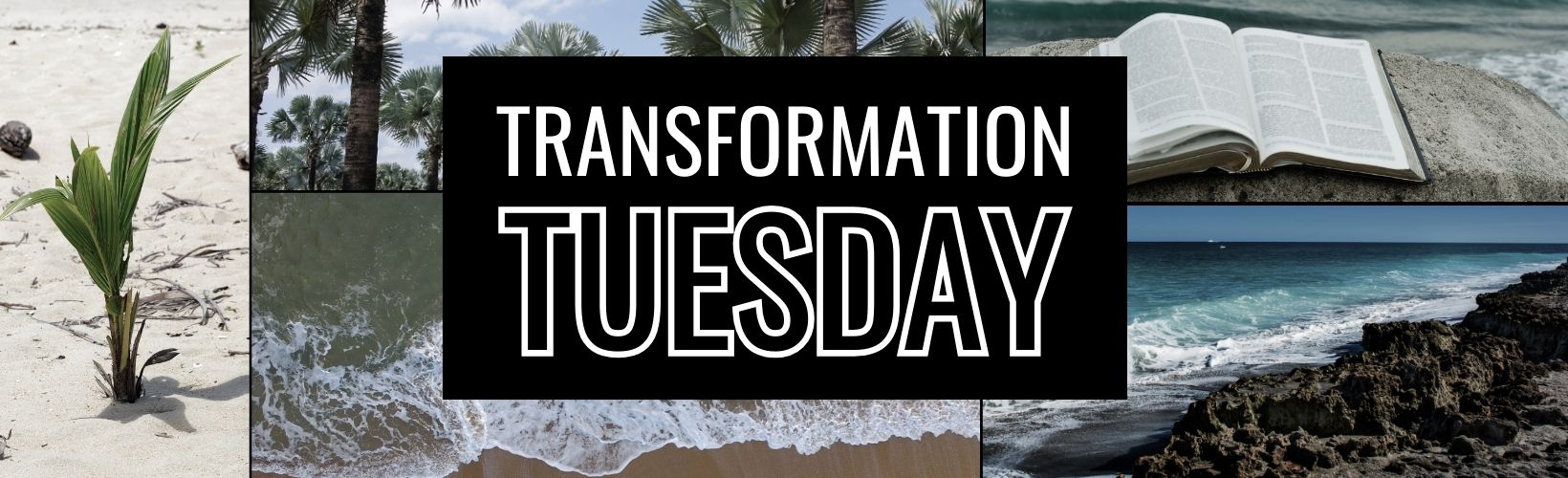 Transformation Tuesday: Renewed Mind, Renewed Life
