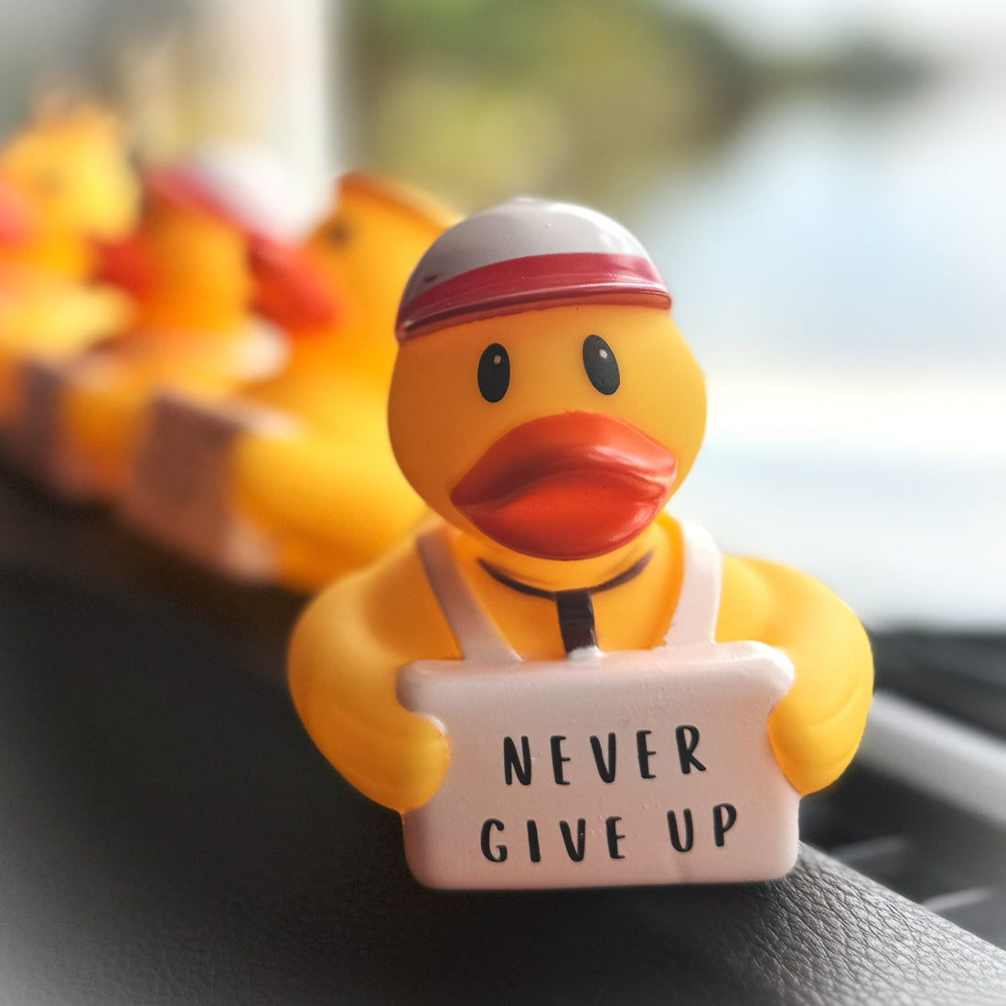 Never Give Up - Coach Quack  (Collector&
