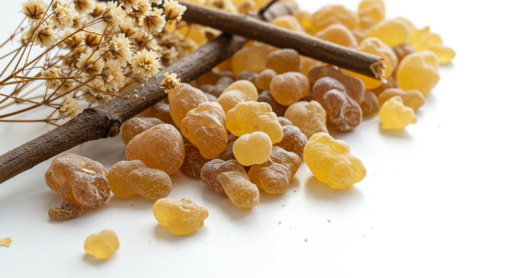 <h2>OIL & STONE ELIXIRS</h2>