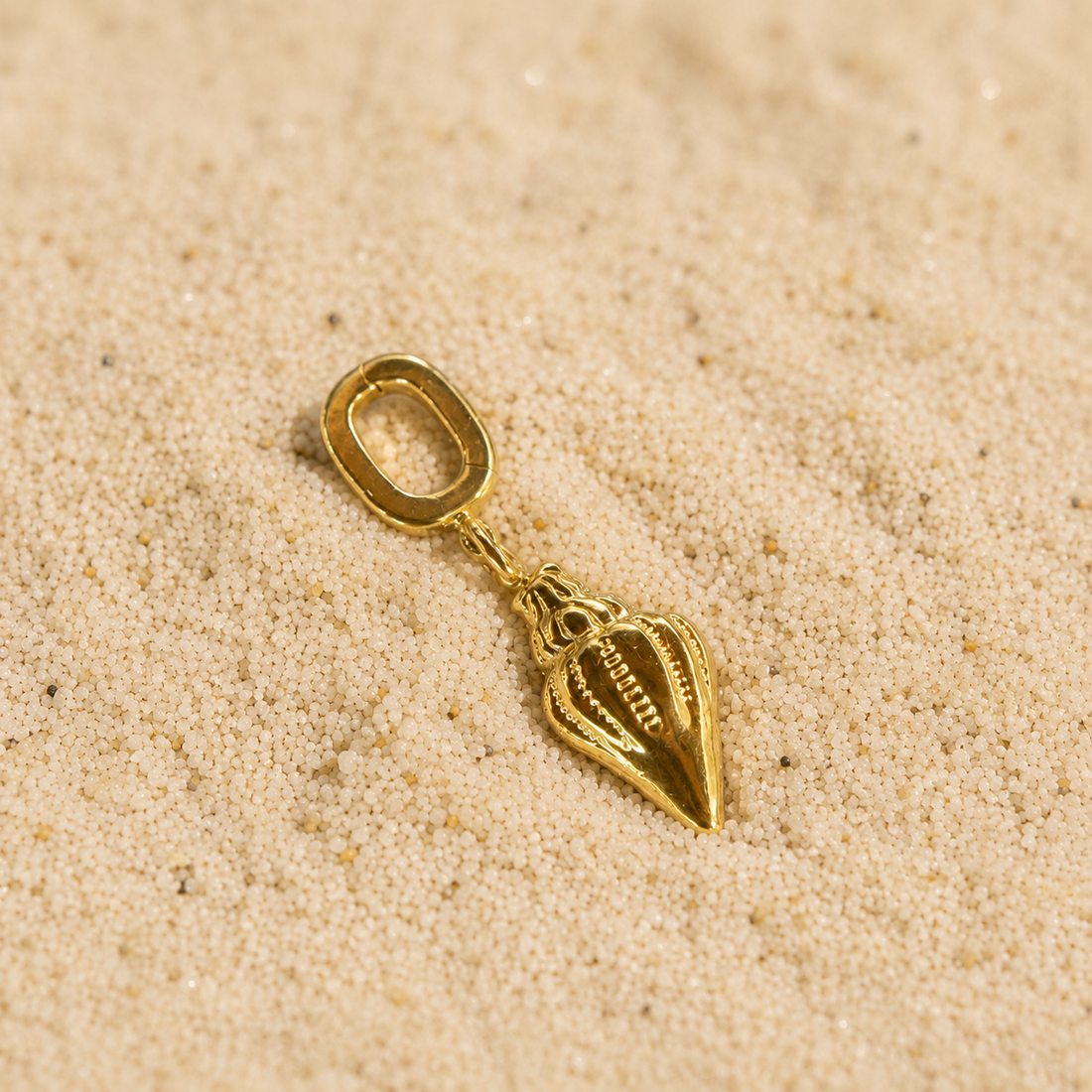 COASTAL CHARM - SHELL