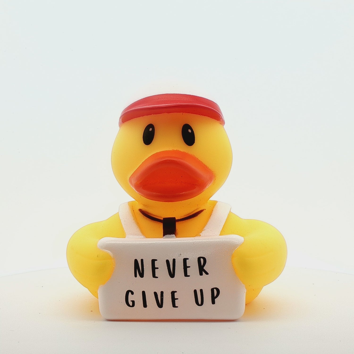 Never Give Up - Coach Quack  (Collector&